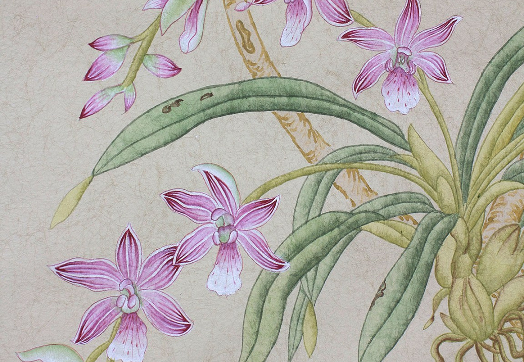 Обои Paul Montgomery Studio Fine Painted Wallpapers Belvedere
