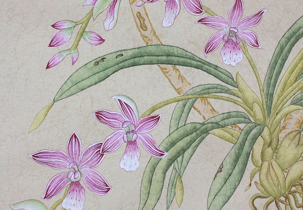 Обои Paul Montgomery Studio Fine Painted Wallpapers Belvedere
