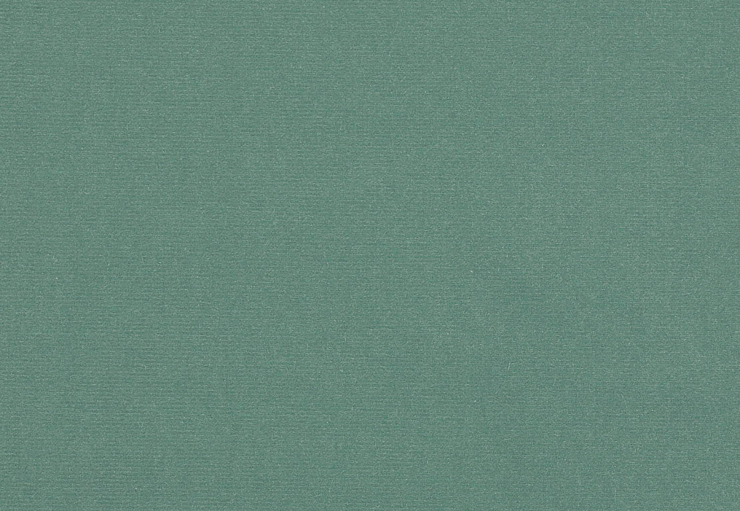 Ткань Manuel Canovas Rivoli II 04982/45
