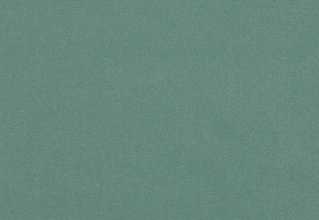 Ткань Manuel Canovas Rivoli II 04982/45