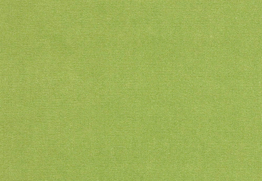 Ткань Manuel Canovas Rivoli II 04982/52