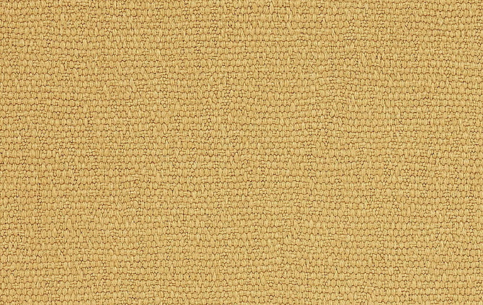 Французская ткань Manuel Canovas, коллекция Selma, артикул M4056-12