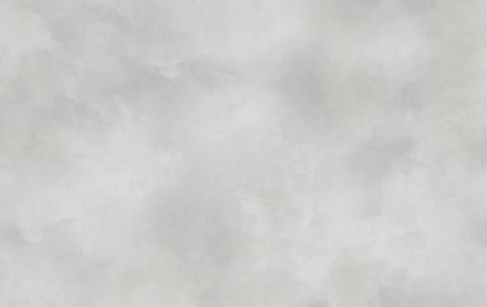 Итальянские обои Sirpi, коллекция AltaGamma Textures, артикул 24650