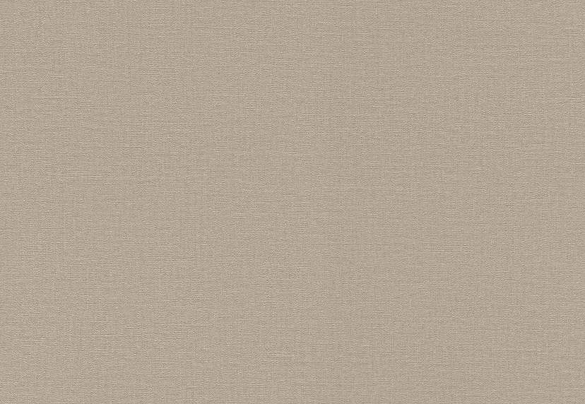 Обои Rasch Lirico 555868