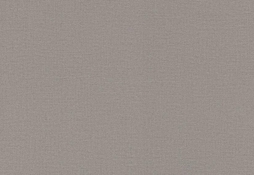 Обои Rasch Lirico 555875