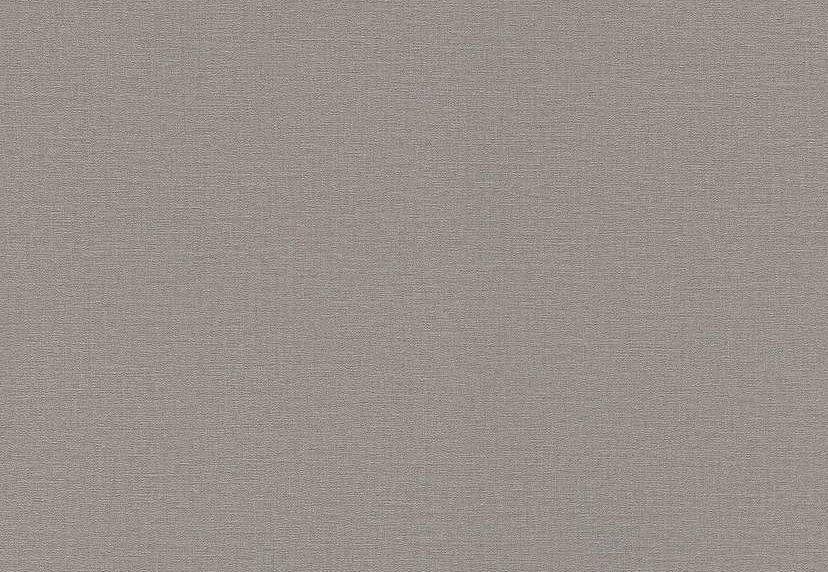 Обои Rasch Lirico 555875