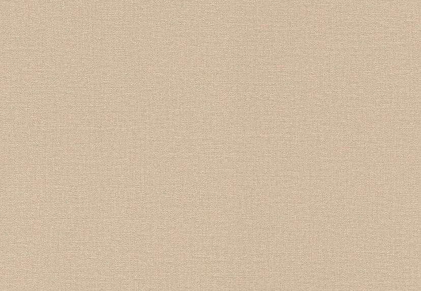Обои Rasch Lirico 555882