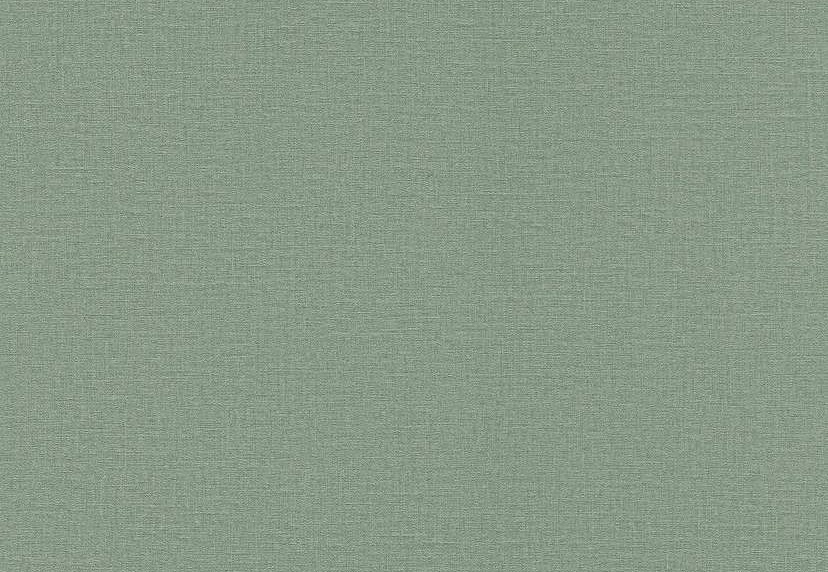 Обои Rasch Lirico 555936