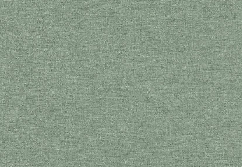 Обои Rasch Lirico 555936