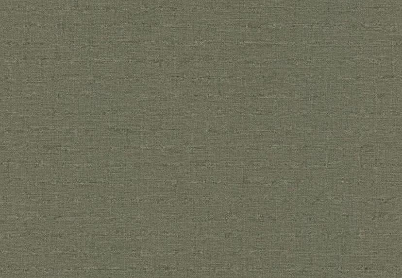 Обои Rasch Lirico 555943
