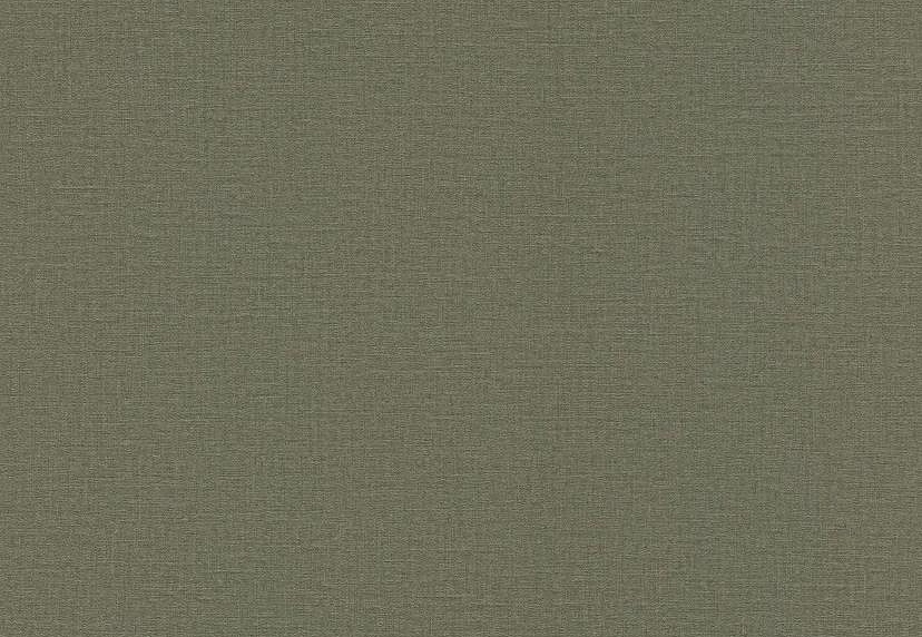 Обои Rasch Lirico 555943