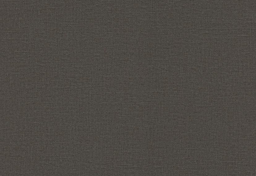 Обои Rasch Lirico 555974