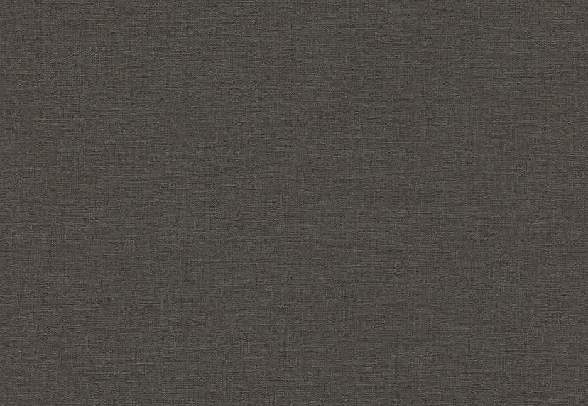 Обои Rasch Lirico 555974