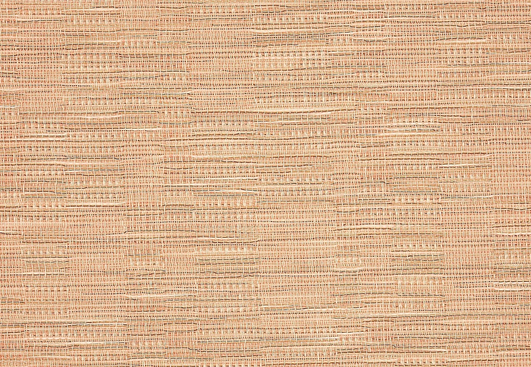 Обои Pierre Frey Sofia FP863004