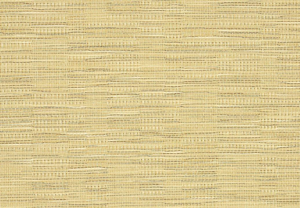 Обои Pierre Frey Sofia FP863009
