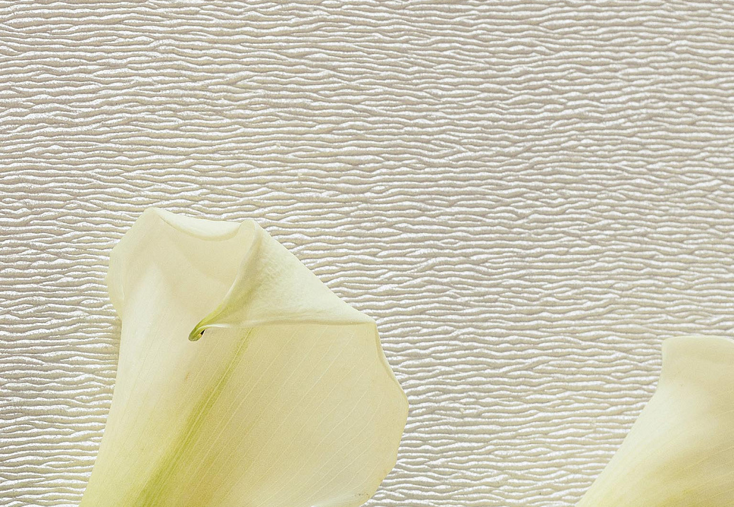 Обои Pierre Frey Natecru Textures n.2 FP937001