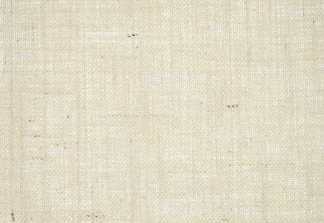 Обои Pierre Frey Natecru Textures n.2 FP939001