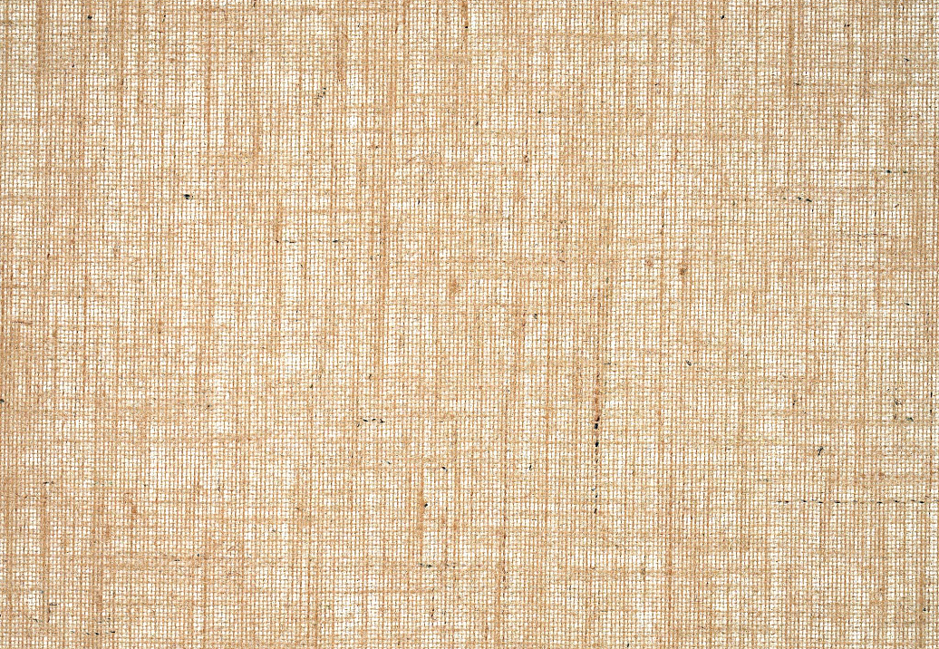 Обои Pierre Frey Natecru Textures n.2 FP939003