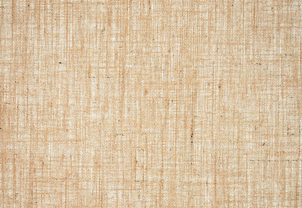 Обои Pierre Frey Natecru Textures n.2 FP939003