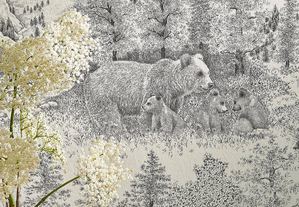 Обои Pierre Frey Les Dessins 6 FP949001