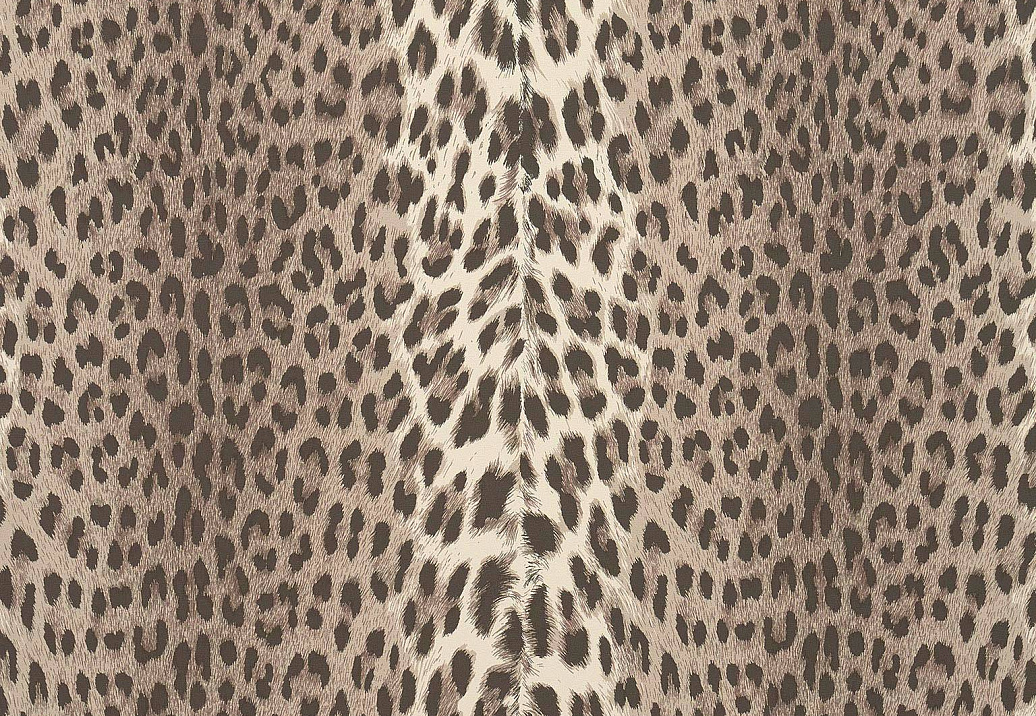 Обои Pierre Frey Les Dessins 6 FP953001