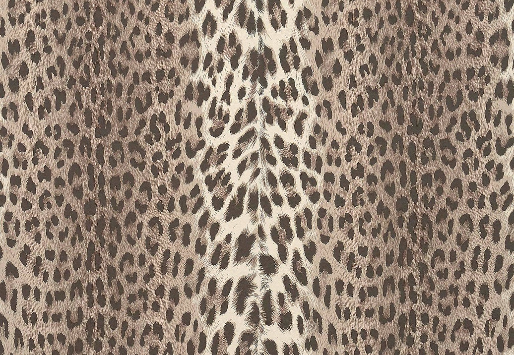 Обои Pierre Frey Les Dessins 6 FP953001
