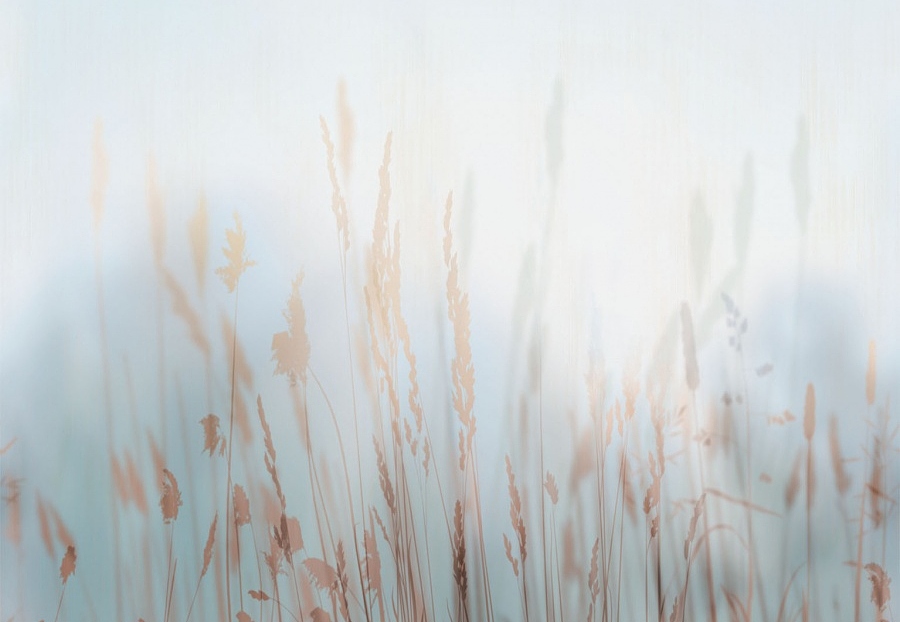 Панно и фотообои Affresco Trend Art ZK420 COL2