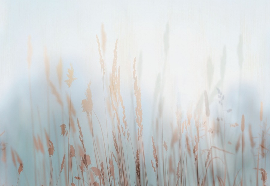 Панно и фотообои Affresco Trend Art ZK420 COL2