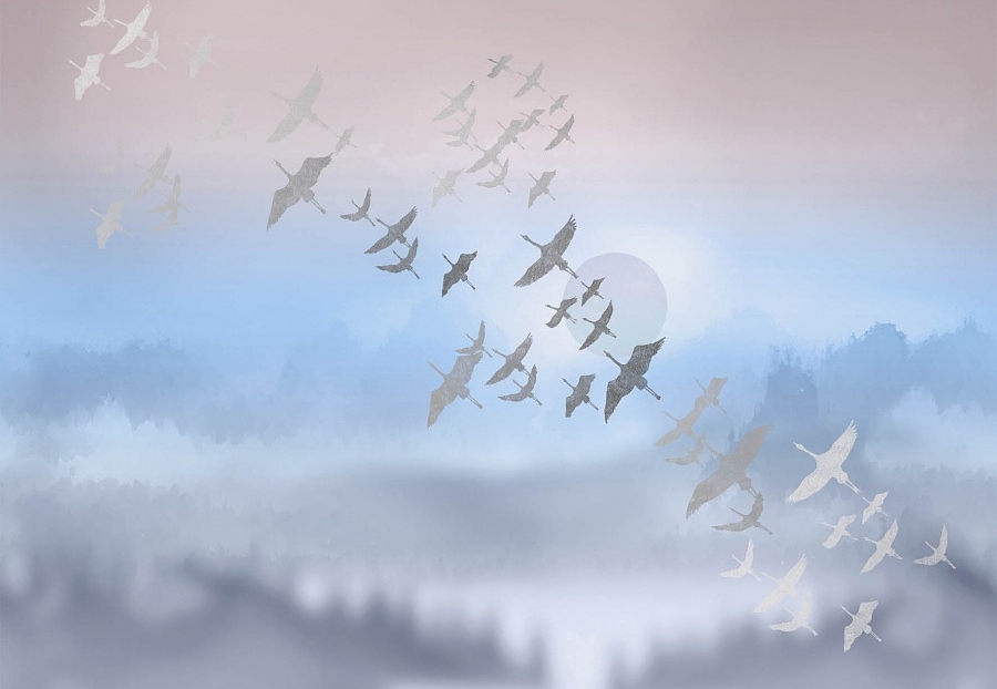 Панно и фотообои Affresco Trend Art ZK444 COL2