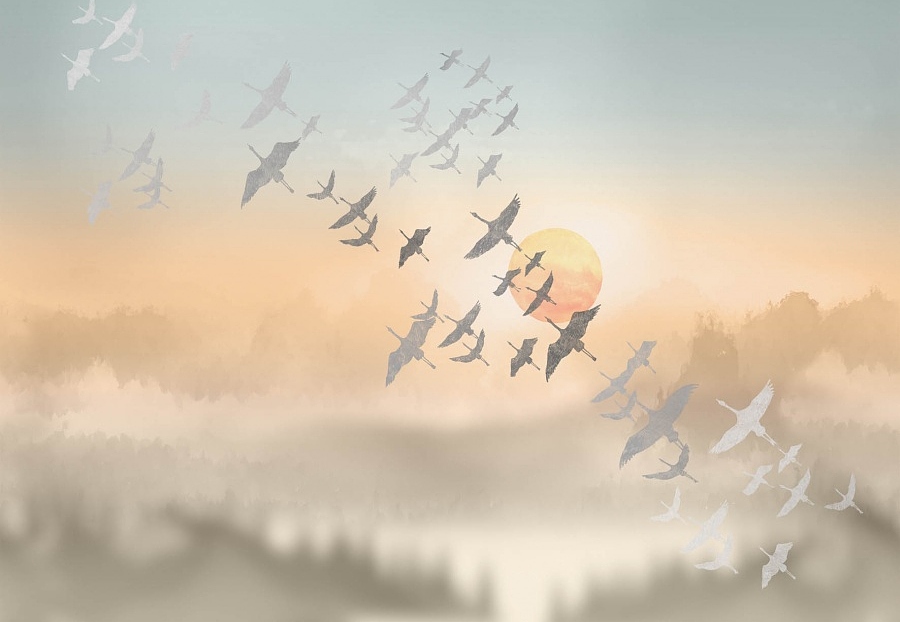 Панно и фотообои Affresco Trend Art ZK444 COL3