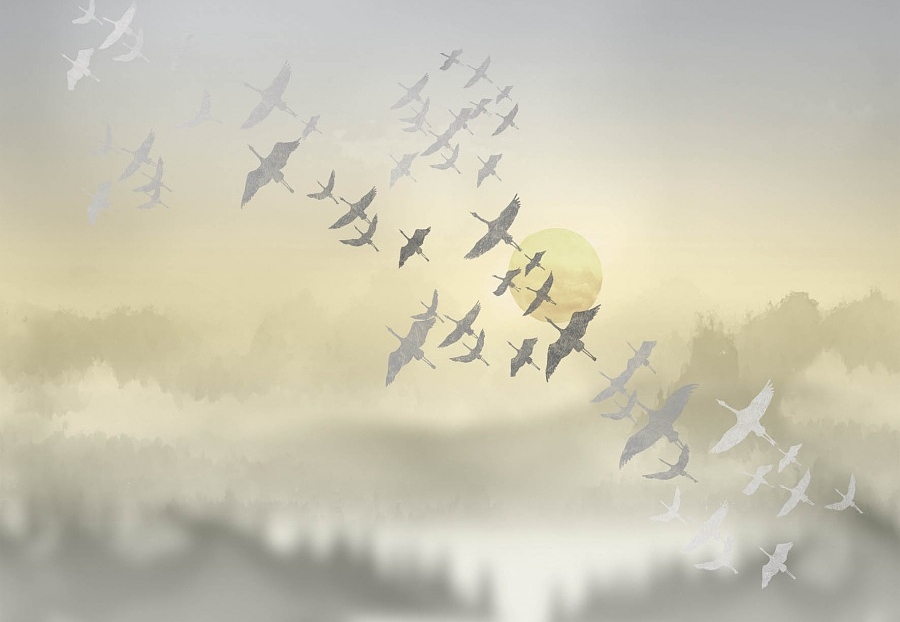Панно и фотообои Affresco Trend Art ZK444 COL4