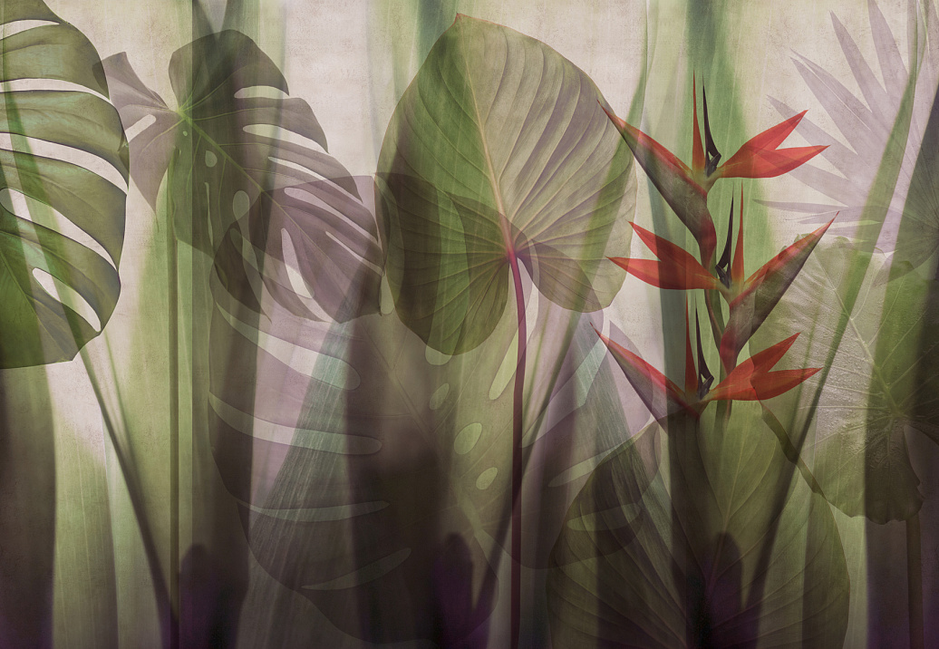 Панно и фотообои Glamora Creative Wallcovering GLRO104B