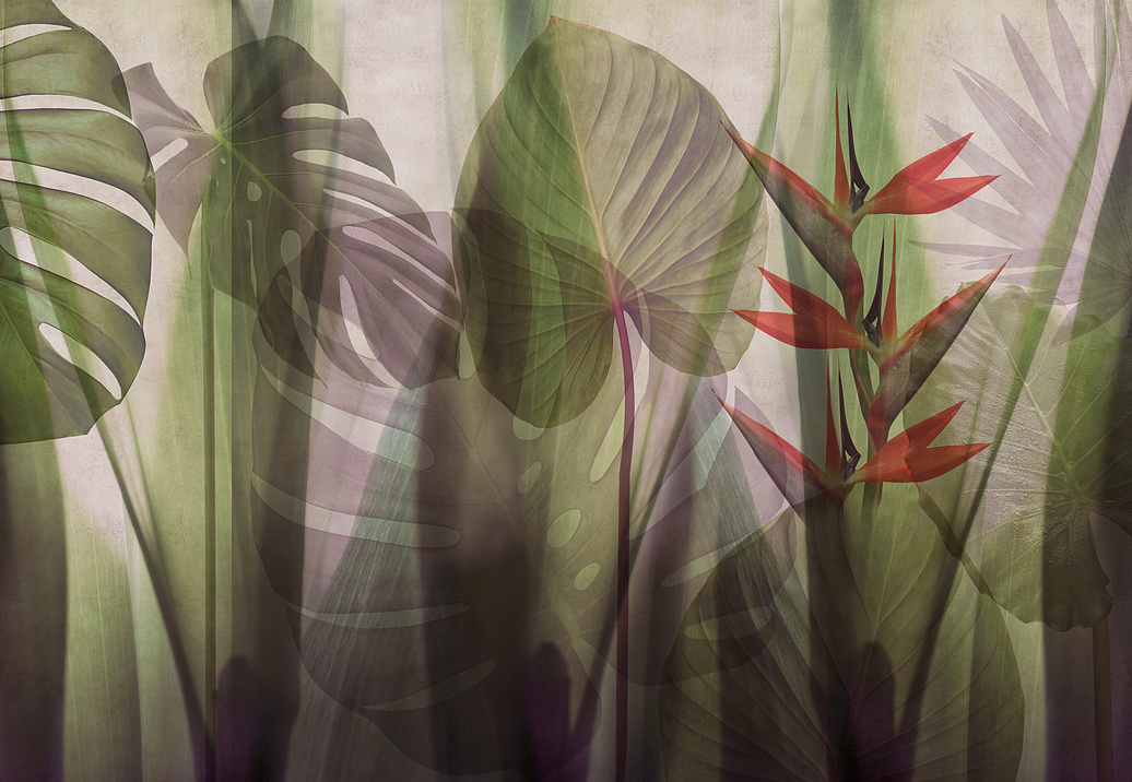 Панно и фотообои Glamora Creative Wallcovering GLRO104B