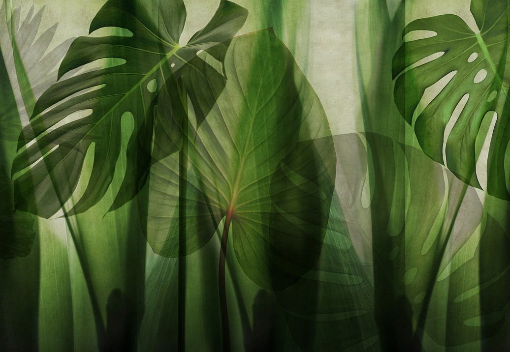 Панно и фотообои Glamora Creative Wallcovering GLRO101A