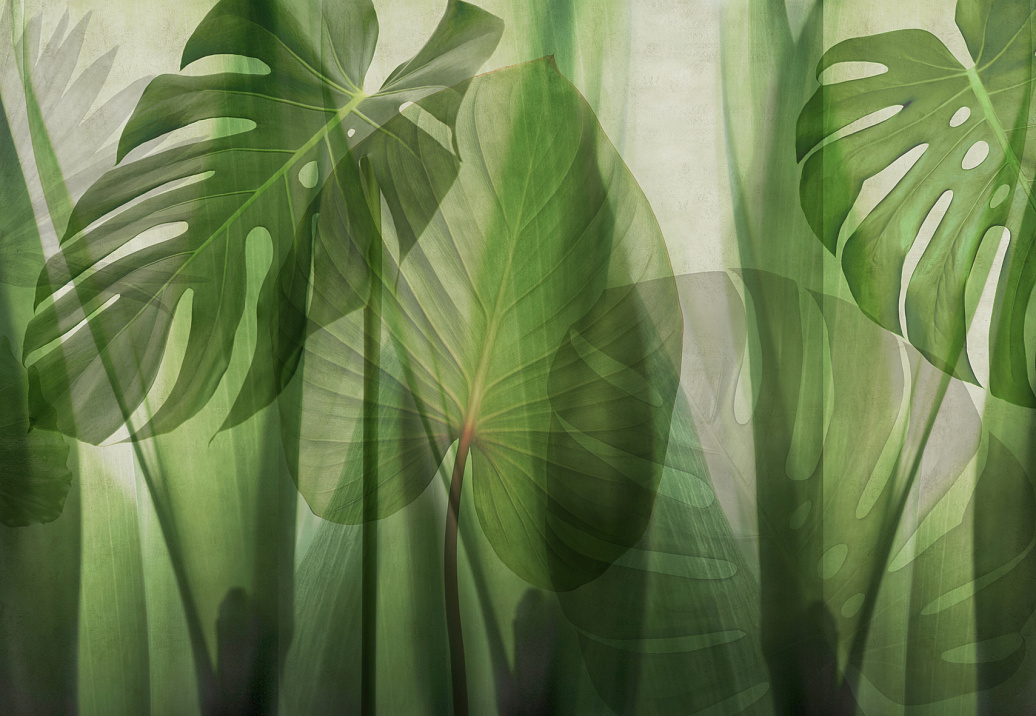 Панно и фотообои Glamora Creative Wallcovering GLRO102A