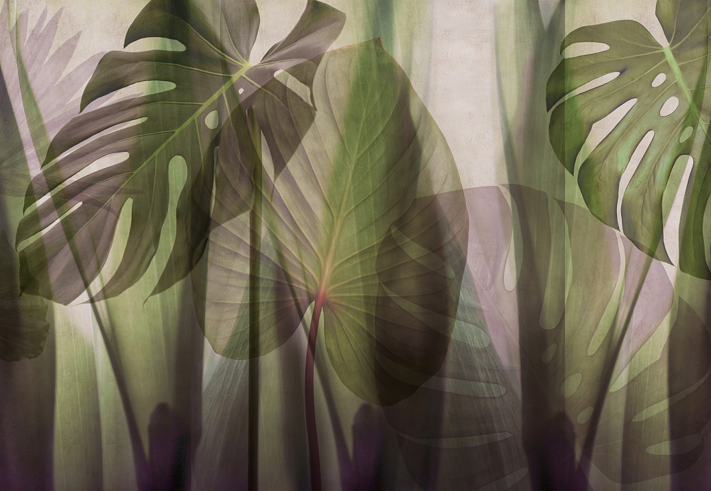 Панно и фотообои Glamora Creative Wallcovering GLRO104A