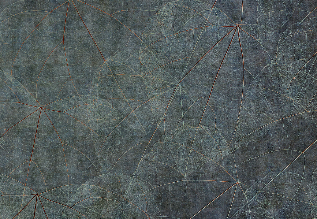 Панно и фотообои Glamora Creative Wallcovering GLNF121A