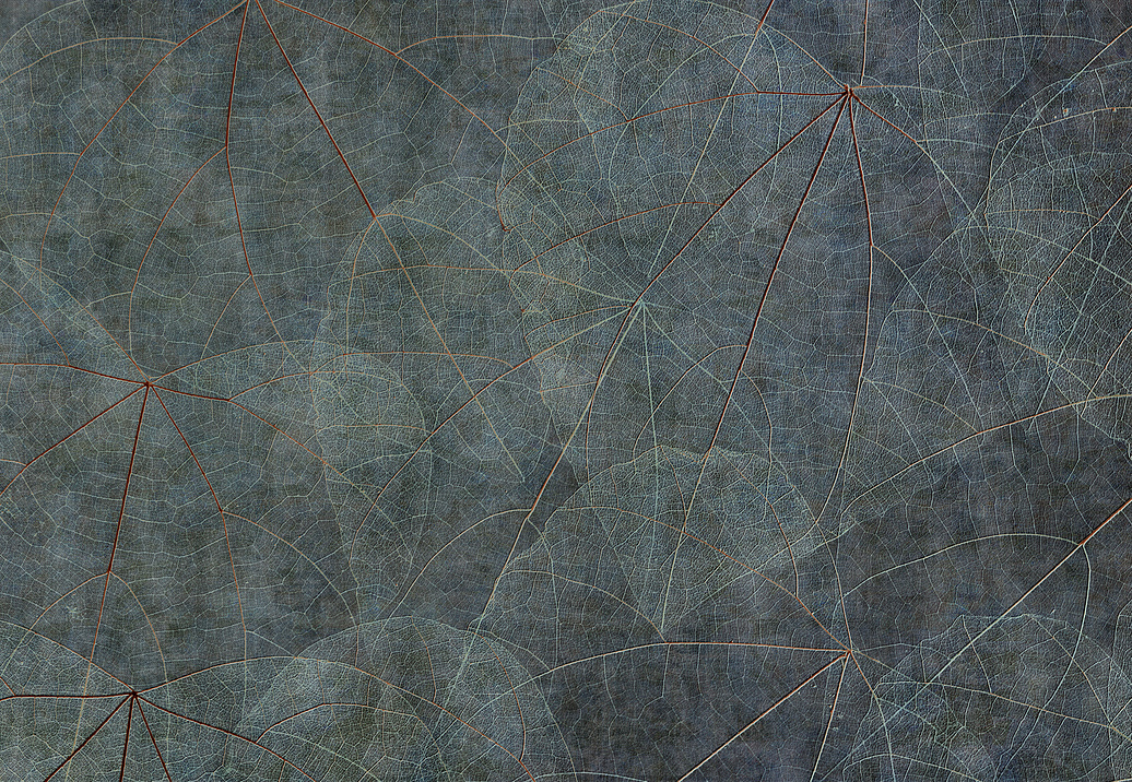 Панно и фотообои Glamora Creative Wallcovering GLNF121A