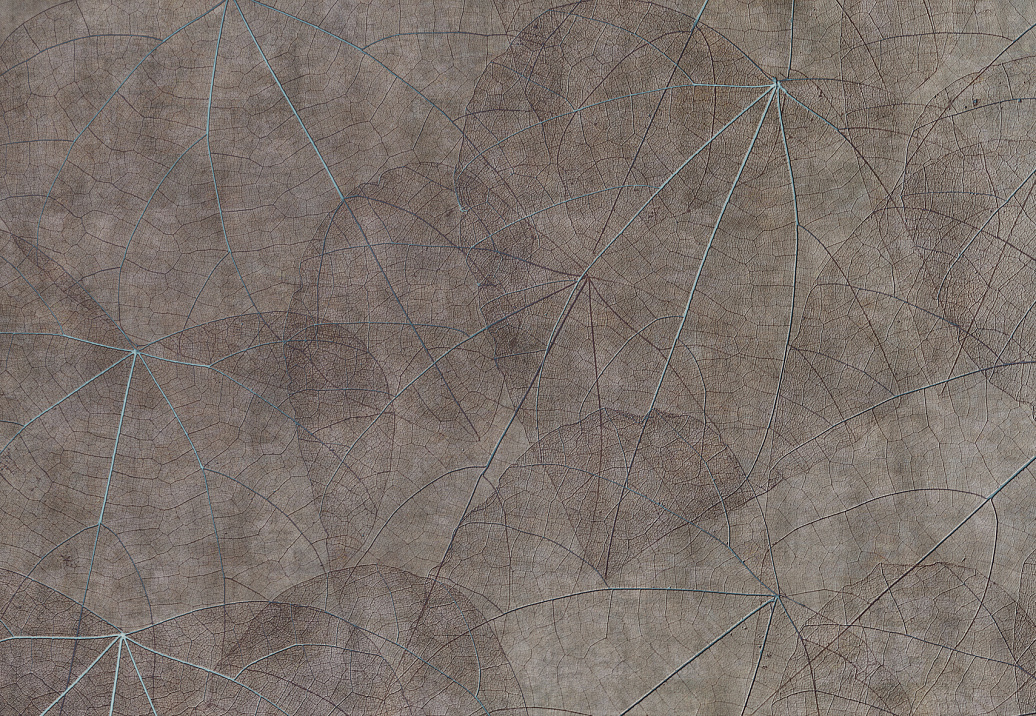 Панно и фотообои Glamora Creative Wallcovering GLNF123A