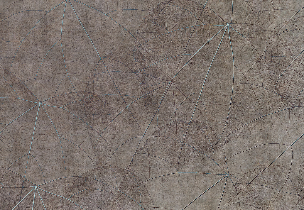 Панно и фотообои Glamora Creative Wallcovering GLNF123A