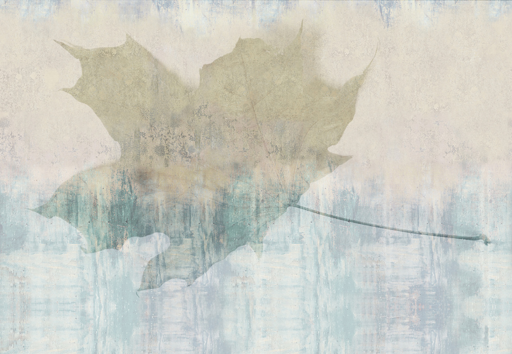 Панно и фотообои Glamora Creative Wallcovering GLFO101A