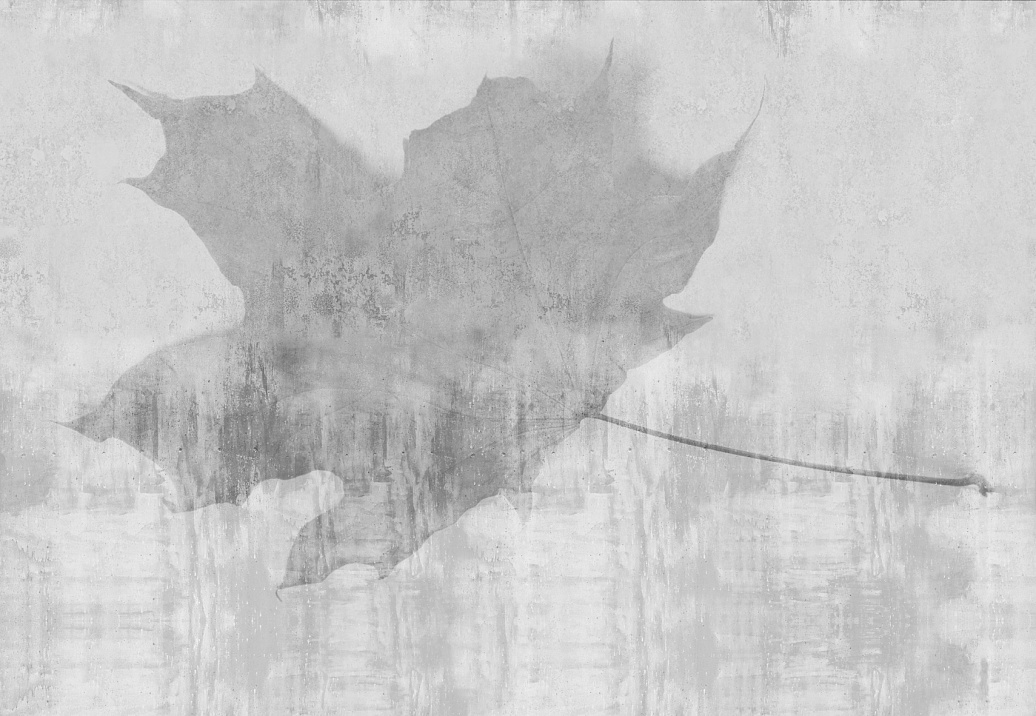 Панно и фотообои Glamora Creative Wallcovering GLFO103A