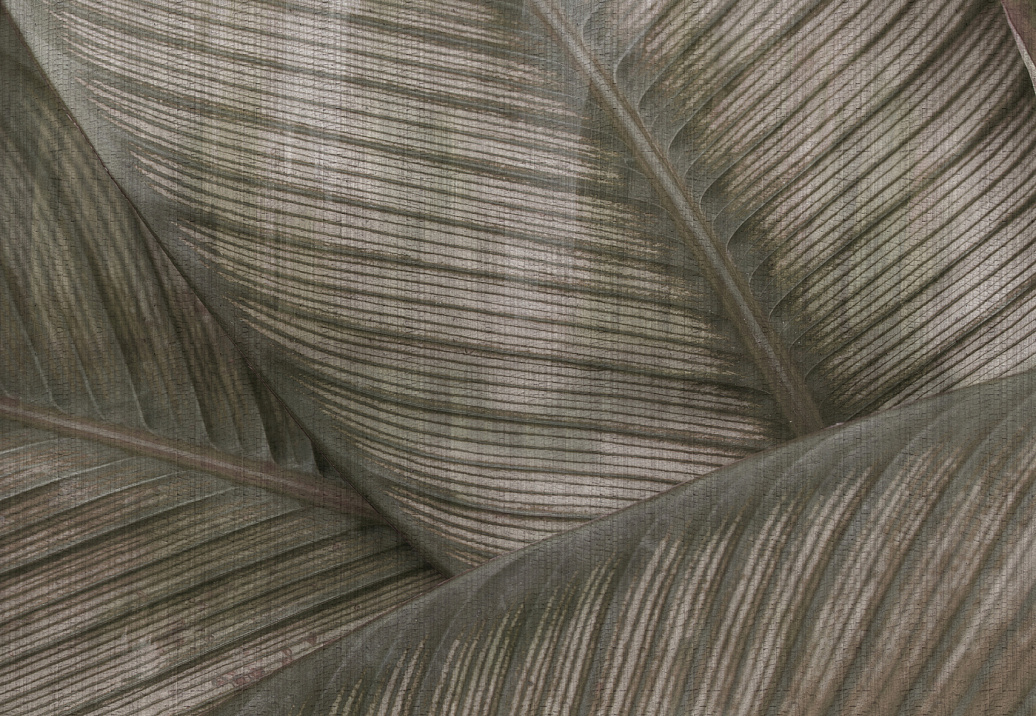 Панно и фотообои Glamora Creative Wallcovering GLRO123A