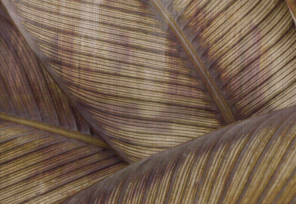Панно и фотообои Glamora Creative Wallcovering GLRO124A