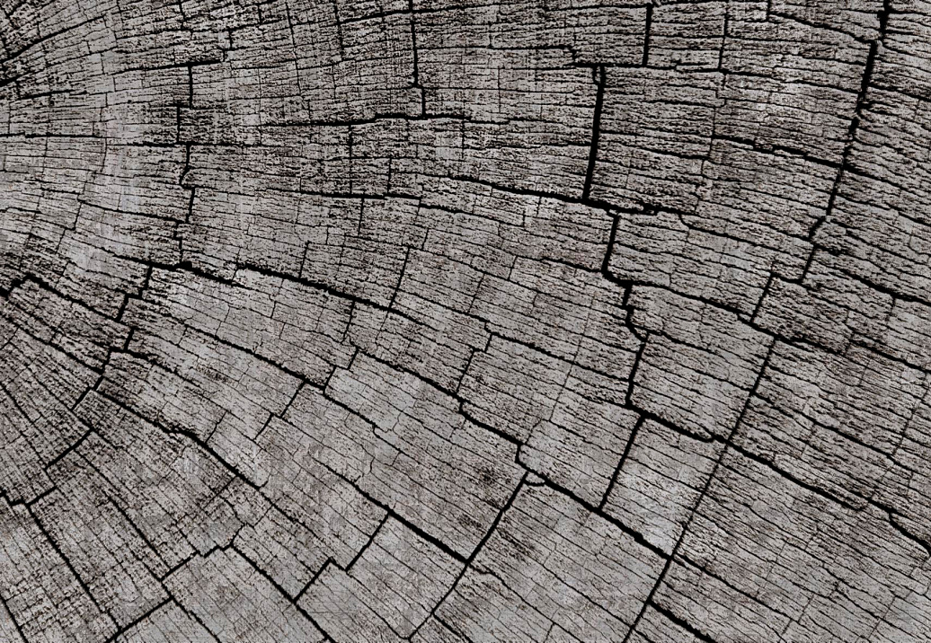 Панно и фотообои Glamora Creative Wallcovering GLCR021A