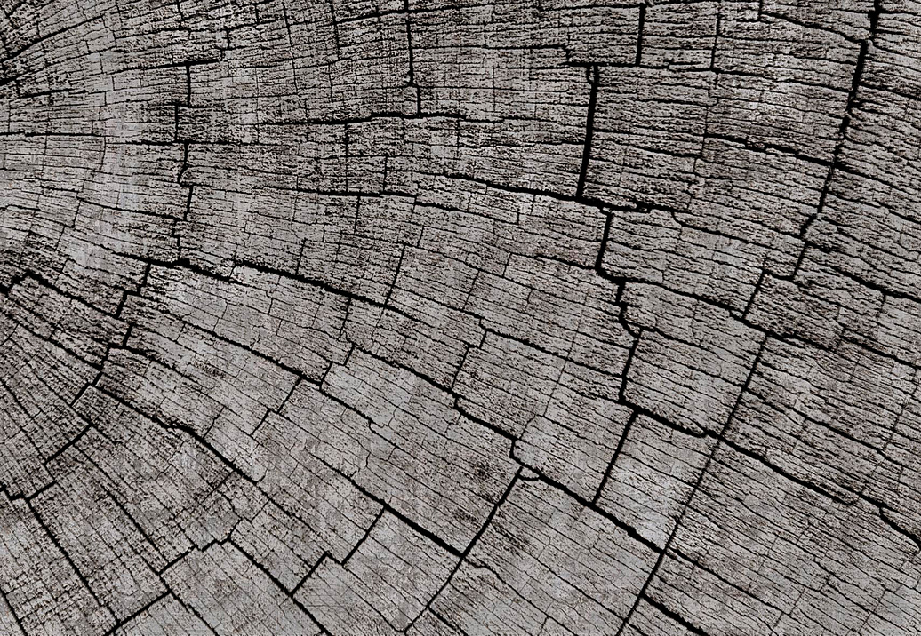 Панно и фотообои Glamora Creative Wallcovering GLCR021A