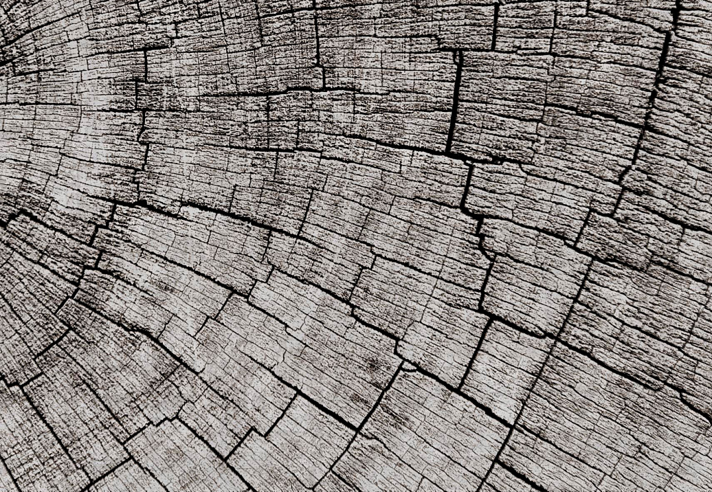 Панно и фотообои Glamora Creative Wallcovering GLCR022A