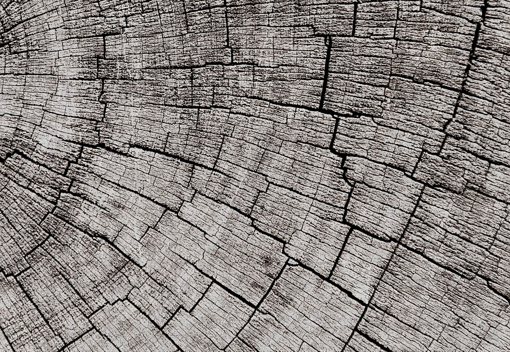 Панно и фотообои Glamora Creative Wallcovering GLCR022A