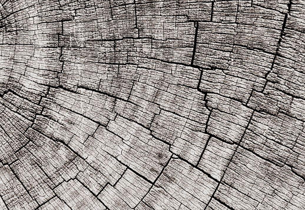 Панно и фотообои Glamora Creative Wallcovering GLCR023A