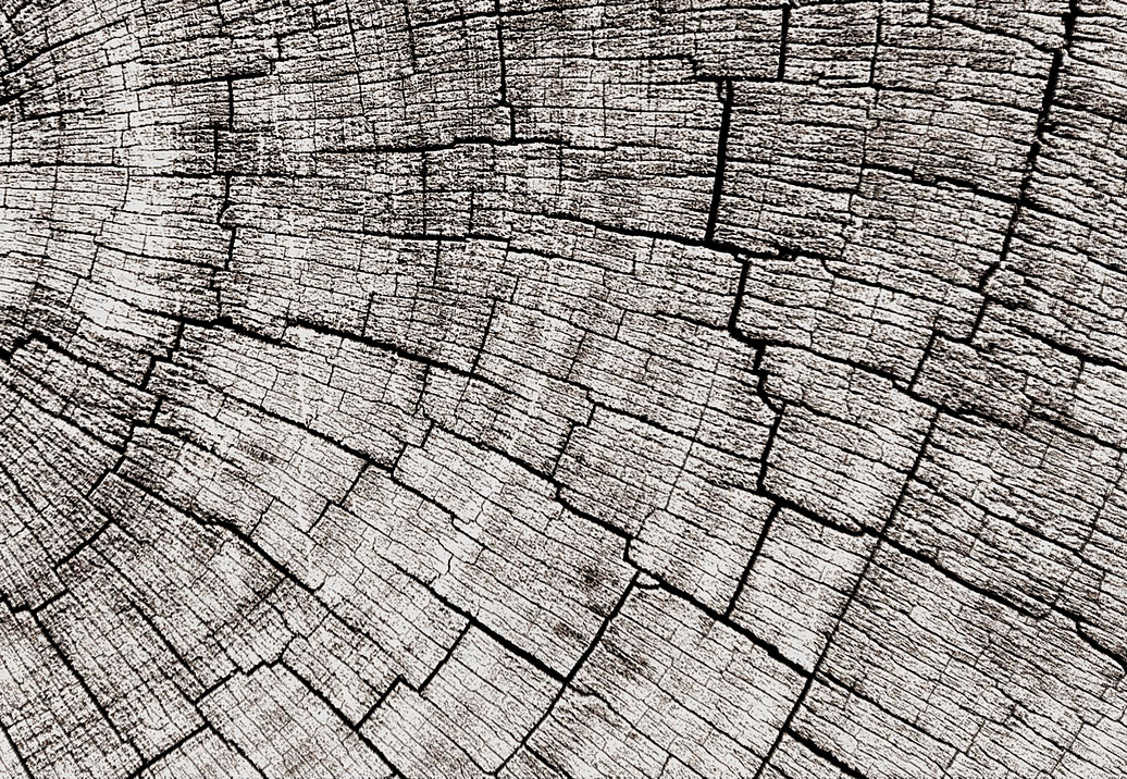 Панно и фотообои Glamora Creative Wallcovering GLCR023A